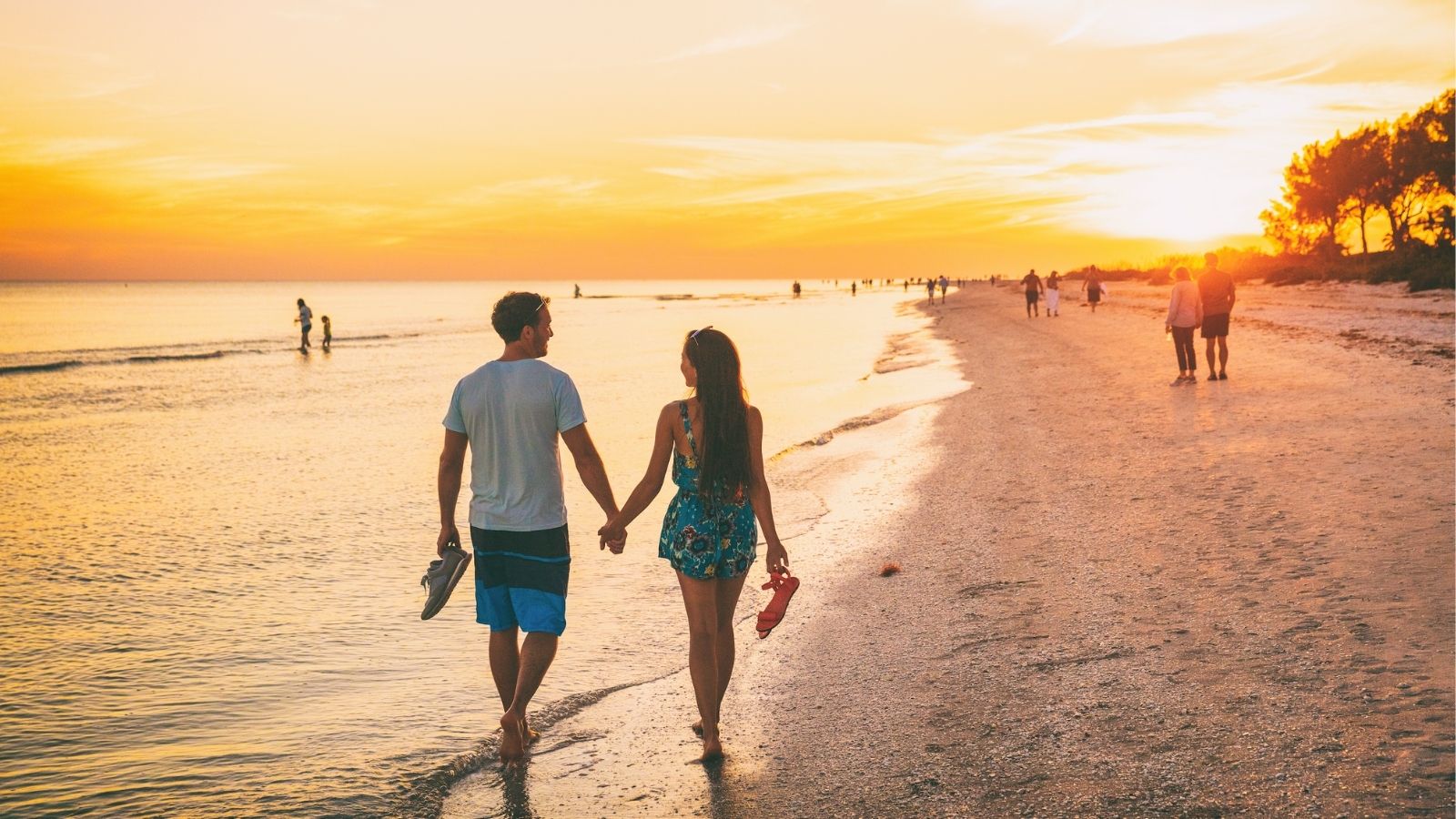 4 nights & 5 days tour package
