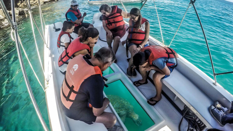 Activities glass boat ap ss1