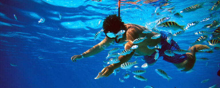 Activities snorkeling ap ss1